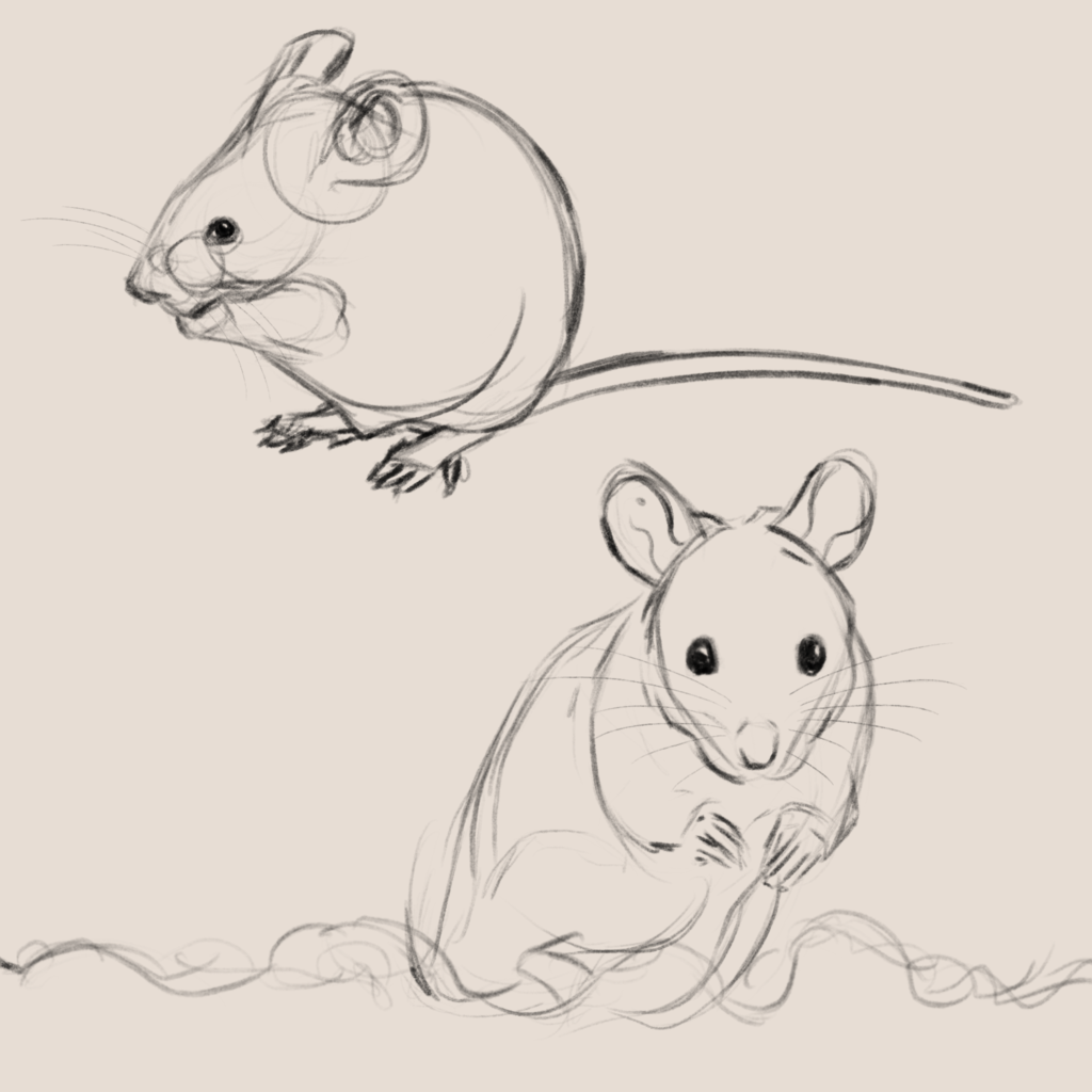 mouse